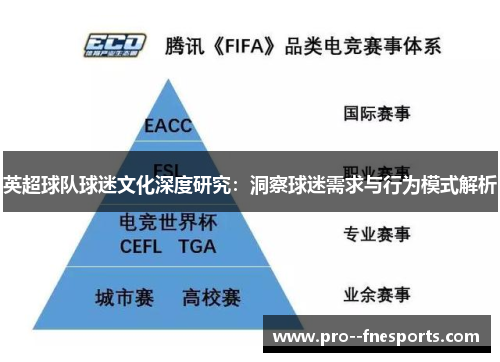 英超球队球迷文化深度研究:洞察球迷需求与行为模式解析 英超球队球迷文化深度研究:洞察球迷需求与行为模式解析