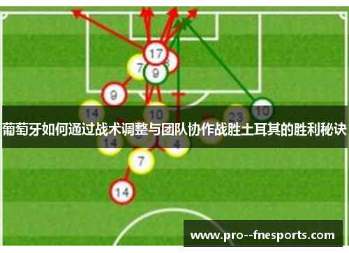 葡萄牙如何通过战术调整与团队协作战胜土耳其的胜利秘诀