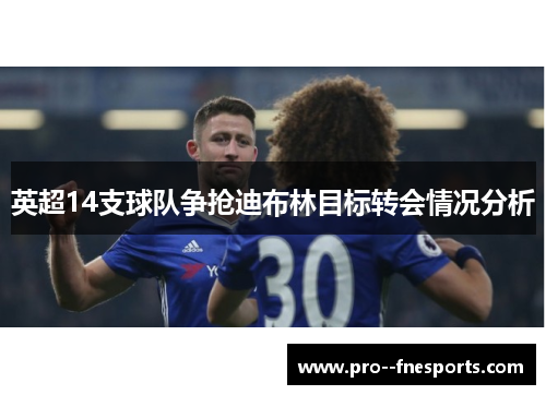 英超14支球队争抢迪布林目标转会情况分析