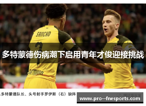 多特蒙德伤病潮下启用青年才俊迎接挑战 多特蒙德伤病潮下启用青年才俊迎接挑战