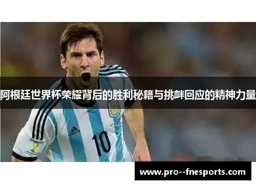 阿根廷世界杯荣耀背后的胜利秘籍与挑衅回应的精神力量