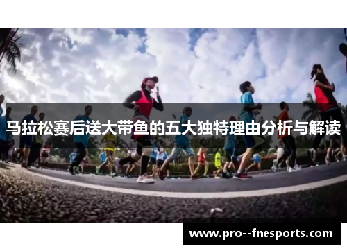 马拉松赛后送大带鱼的五大独特理由分析与解读