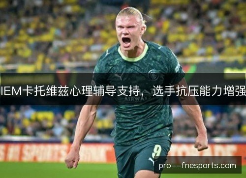 IEM卡托维兹心理辅导支持，选手抗压能力增强